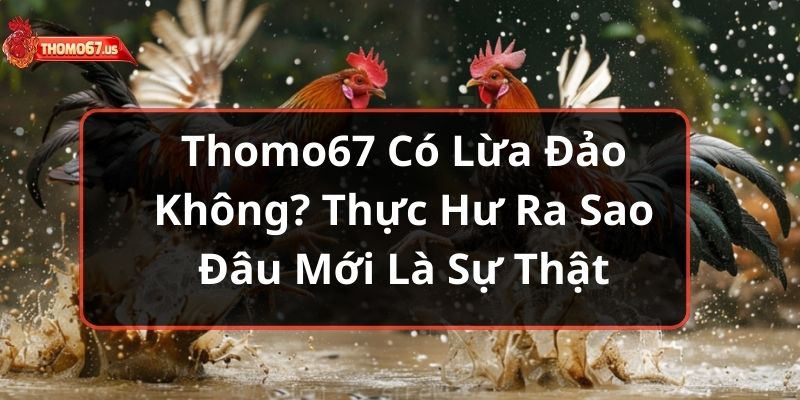 thomo67-co-lua-dao-khong