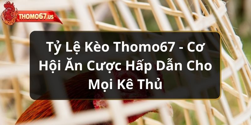 ty-le-keo-thomo67